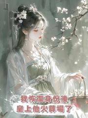 我恢復身份後,皇上他火葬場了